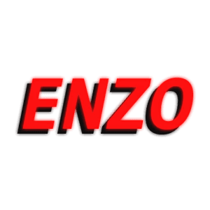 Enzo Network